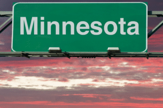 minnesota business entity search