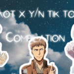 y/n AOT
