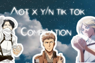 y/n AOT