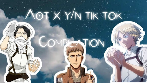 y/n AOT