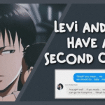 y/n Levi