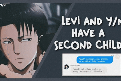 y/n Levi