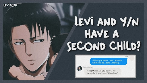 y/n Levi