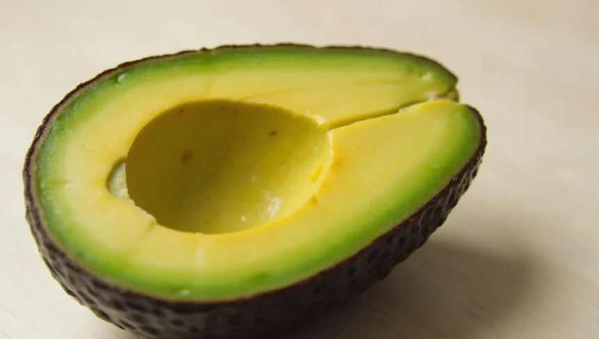 calories in avocado
